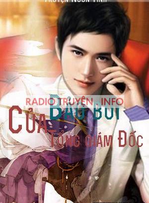 Bảo Bối Của Tổng Giám Đốc - Truyện Ngôn Tình